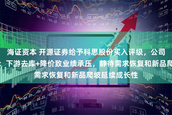 海证资本 开源证券给予科思股份买入评级，公司信息更新报告：下游去库+降价致业绩承压，静待需求恢复和新品爬坡延续成长性
