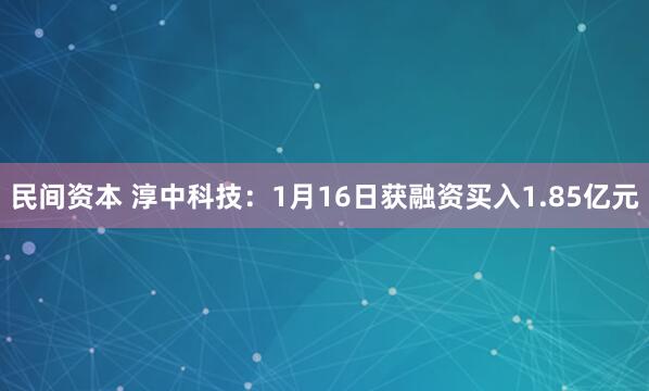 民间资本 淳中科技：1月16日获融资买入1.85亿元